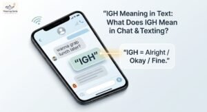 IGH meaning in text shown in a casual smartphone conversation